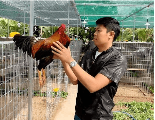 Trại gà Hưng Cần Thơ