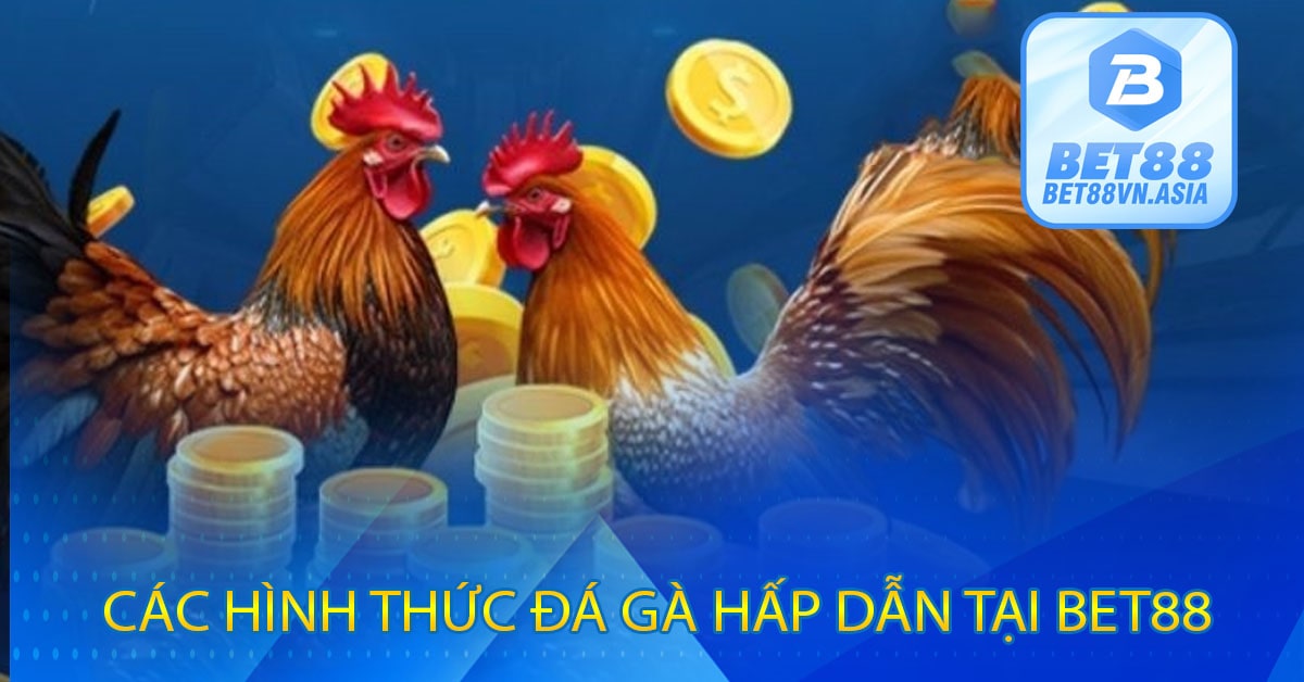 Các Hình Thức Đá Gà Hấp Dẫn Tại Bet88